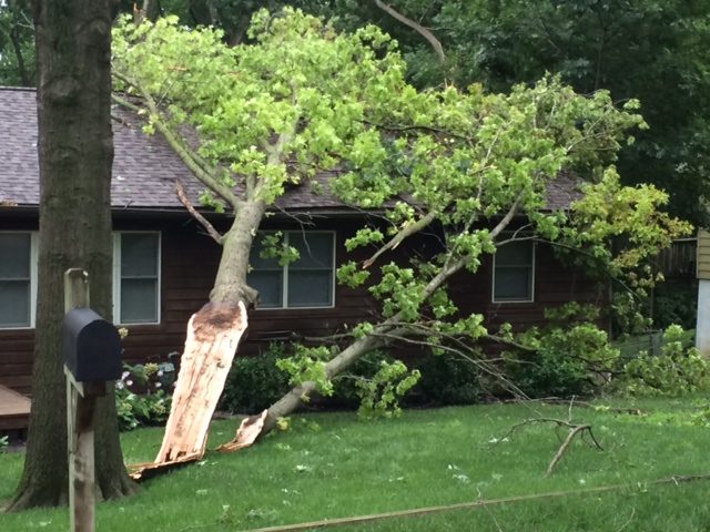 storm damage3