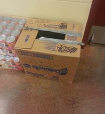 The box Itchy and Scratchy were tossed out in (from Great Plains SPCA)