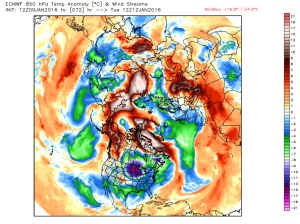 ecmwf_t850a_nh_13